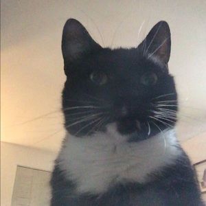 Meet your Posher, Mark